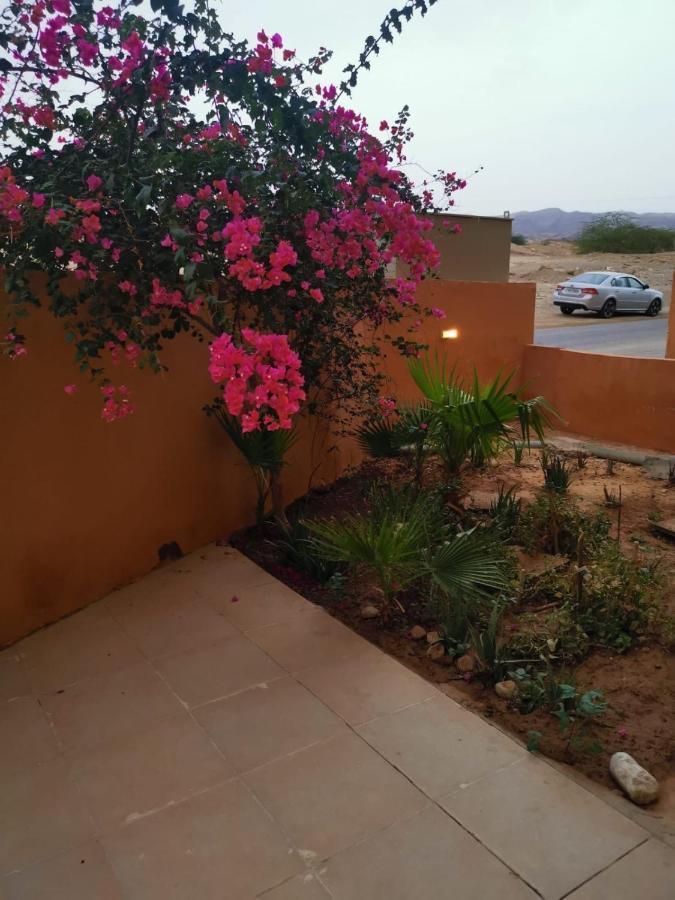 A Wonderful Stay At The Dead Sea Sweimeh Luaran gambar